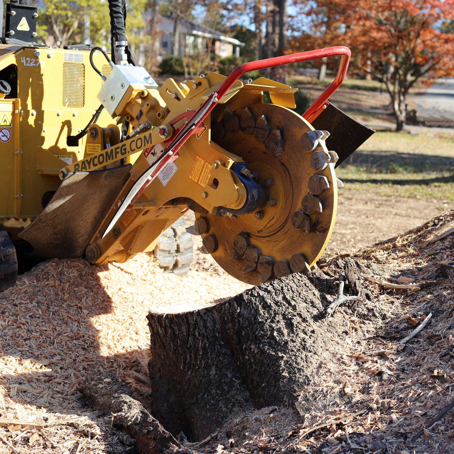 Stump Grinding Greenville SC: Fast, Affordable Way to Remove Unsightly Stumps
