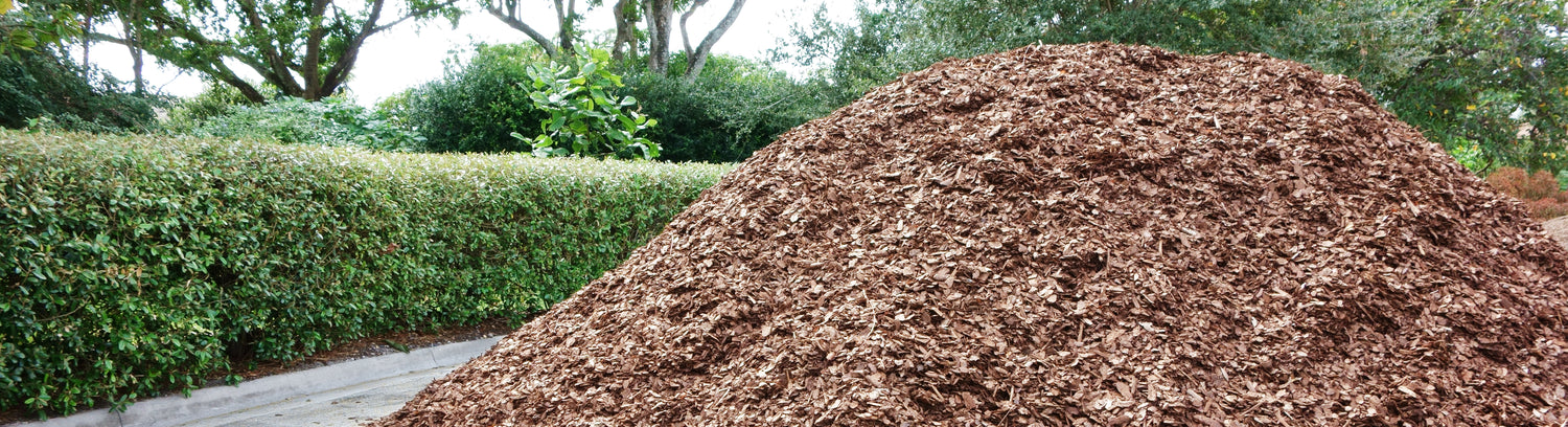 Tree Removal with Wood Chipping Services