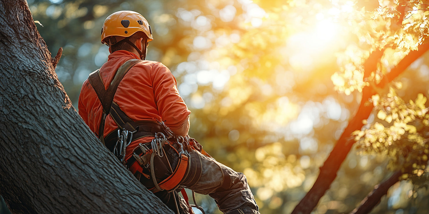 Person in orange safety jacket and helmet climbing a tree with a blurred natural background