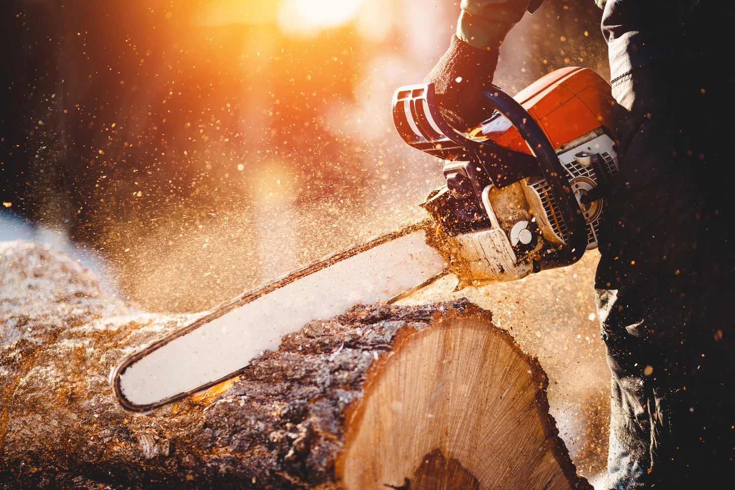 Person using a chainsaw to cut a log with a blurred background
