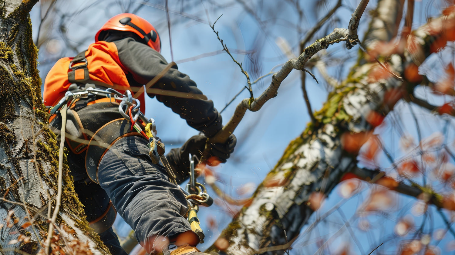 Person in orange safety vest and helmet pruning a tree with a blue sky background