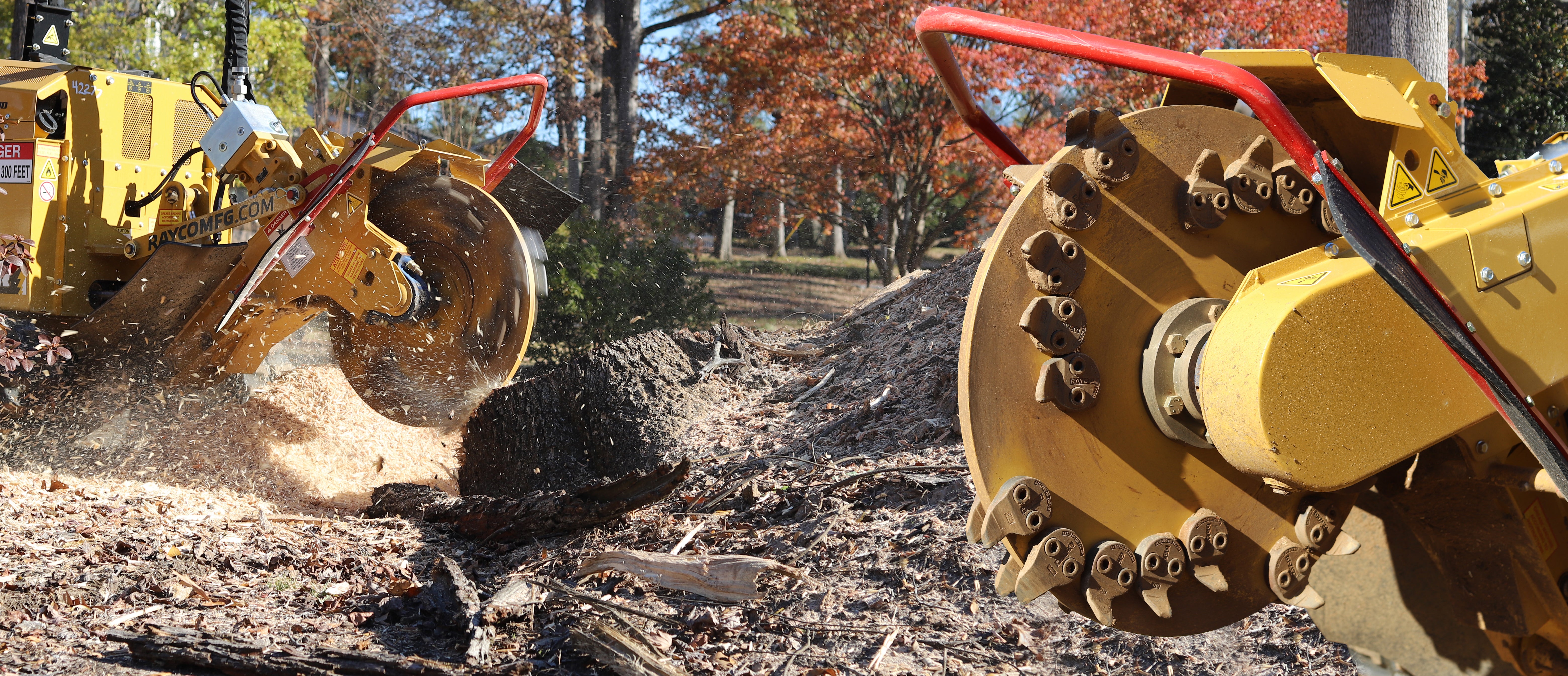 Tree Stump Grinding – Arbor Nation