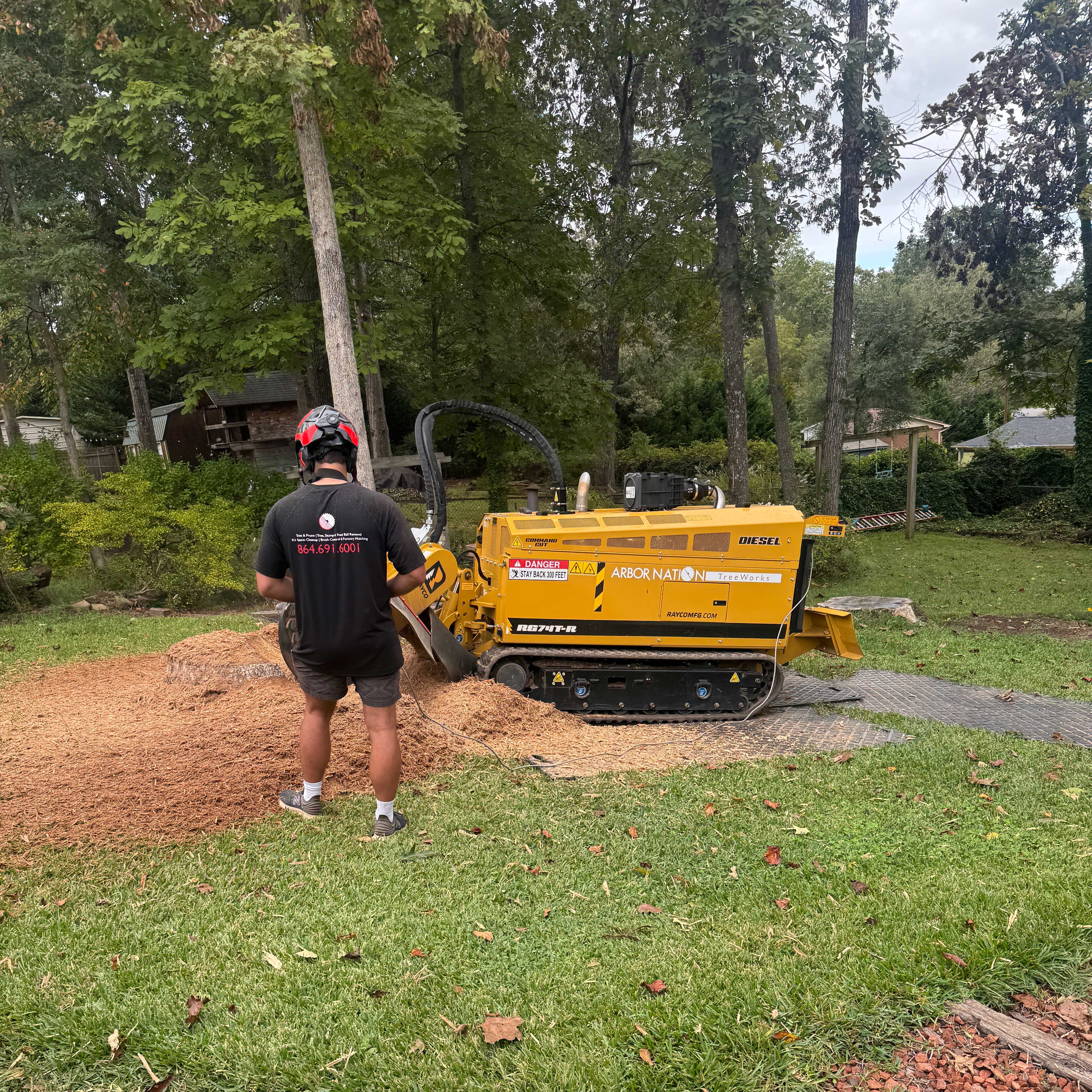 Tree Stump Grinding – Arbor Nation