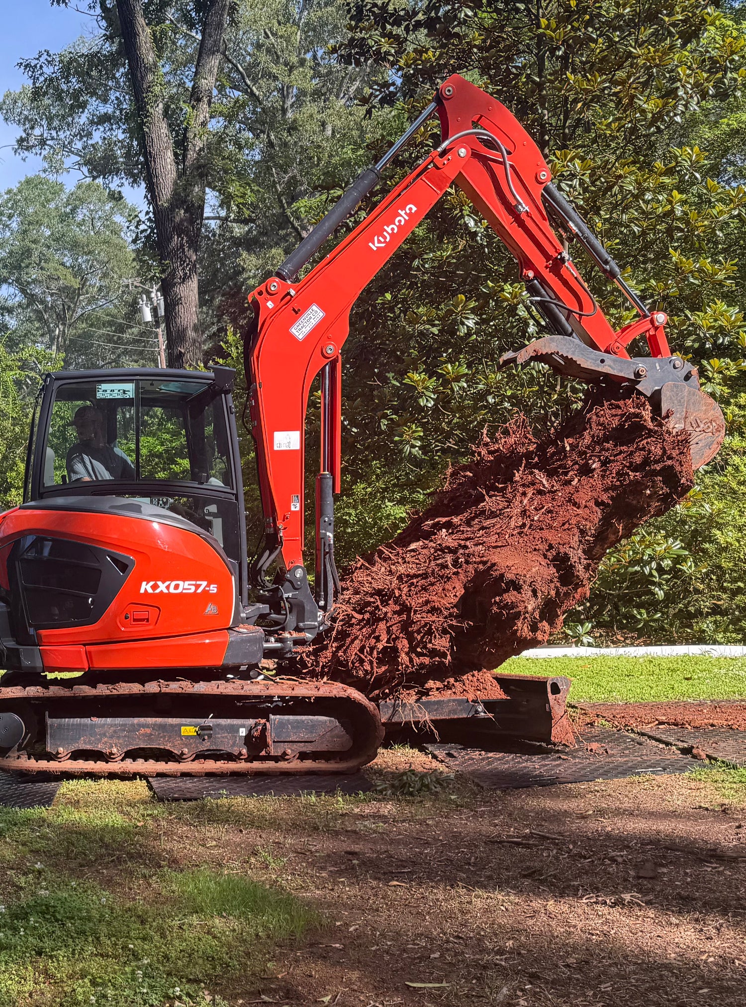 Red excavator lifting a root ball in a natural setting with trees and grass.