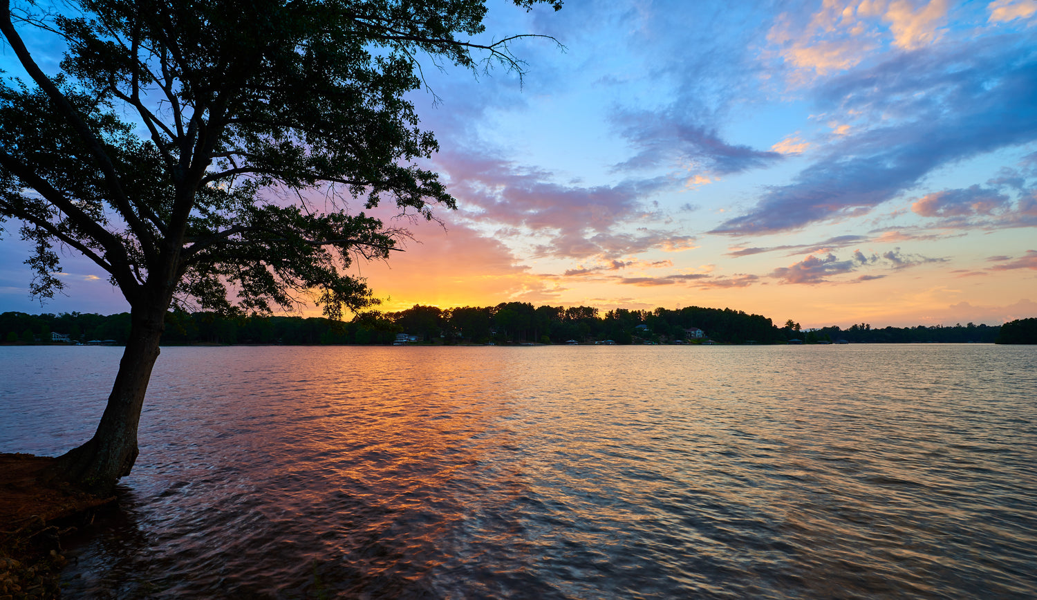 Sunset over a lake with a tree on the left side