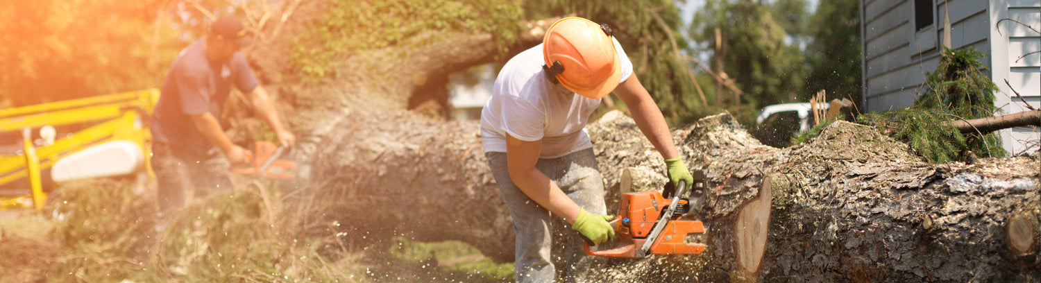 Two people working with chainsaws to cut down a tree in a residential area.
