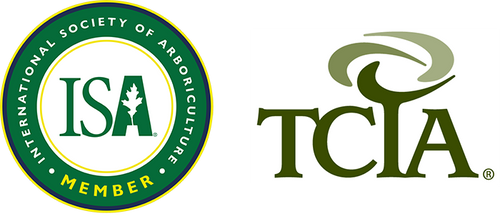 ISA and TCIA Badges